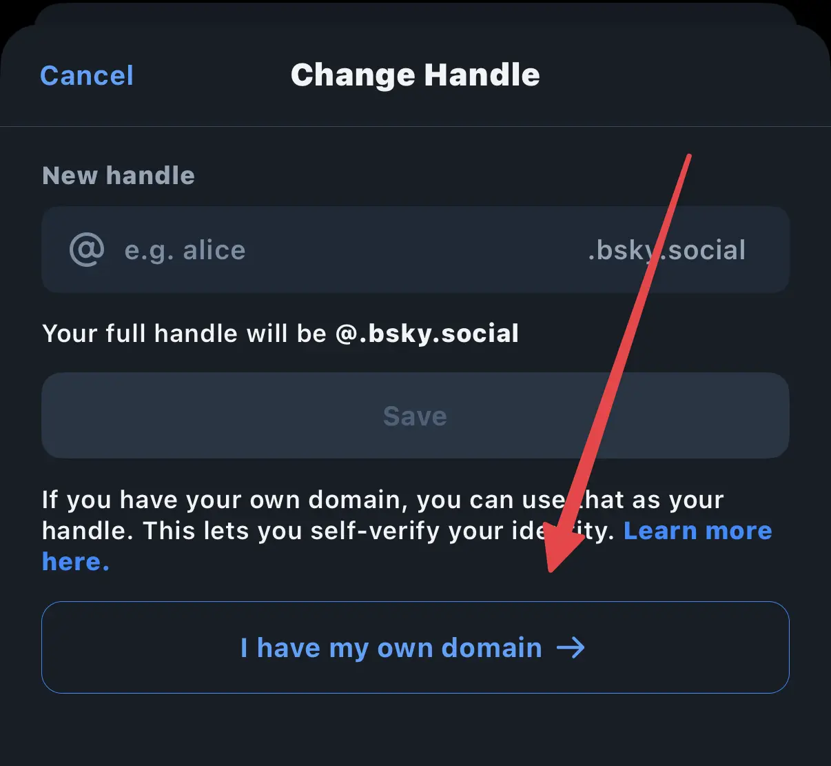 Screenshot of the Change Handle screen with an arrow pointing to the 'I have my own domain' button.