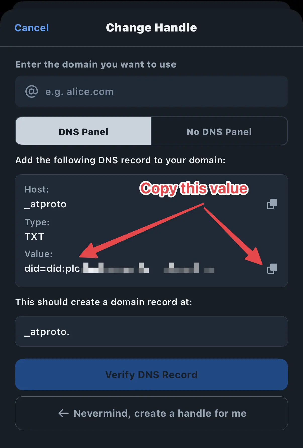 Screenshot showing the DNS record screen with arrows pointing to the copy icon for the DID value.